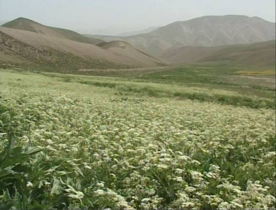 سیمای منابع طبیعی استان تهران